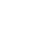 Development Concept